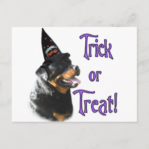 Carte Postale Rottweiler Trick