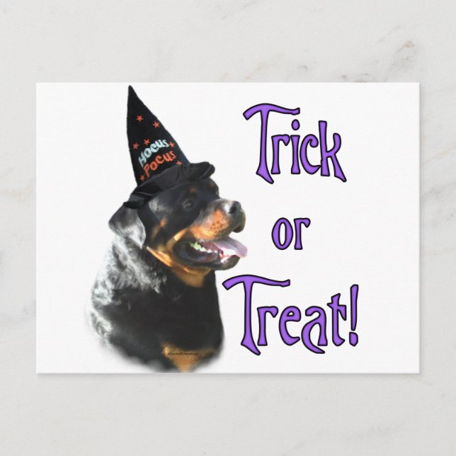 Carte Postale Rottweiler Trick (Devant)