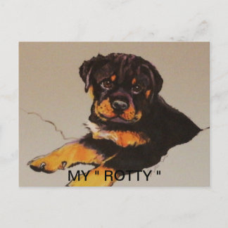 CARTE POSTALE ROTWEILER POSTCAR