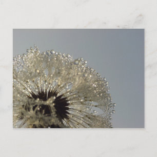 Carte Postale Roue de gouttelettes