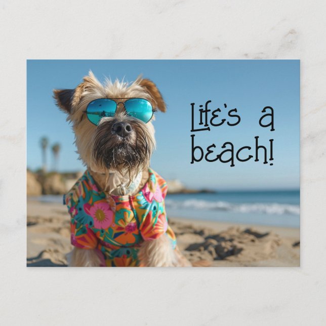 Carte Postale Roue Terrier Chiot portant des lunettes de soleil (Devant)
