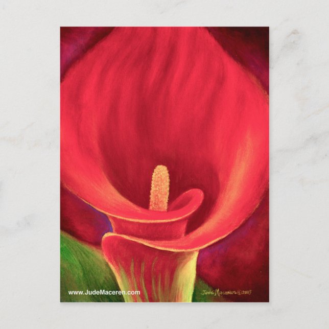 Carte Postale Rouge Cala Lily Tropical Flower Art - Multi (Devant)