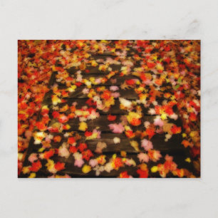 Carte Postale Rouge clair Jaune d'automne Maple Feuilles