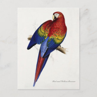 Carte postale rouge et jaune