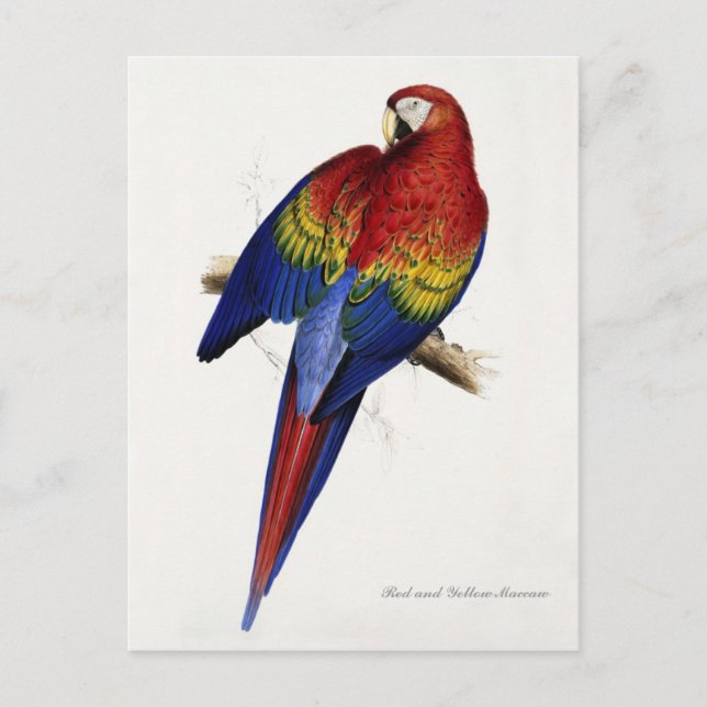 Carte postale rouge et jaune (Devant)