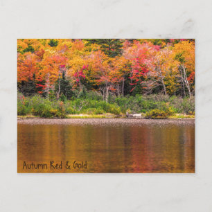 Carte postale rouge et or automne