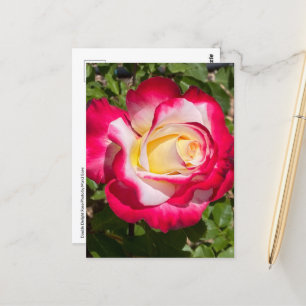 Carte postale Rouge et Rose jaune