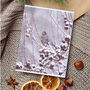 Carte Postale Rouge-gorge guerrier américain en hiver