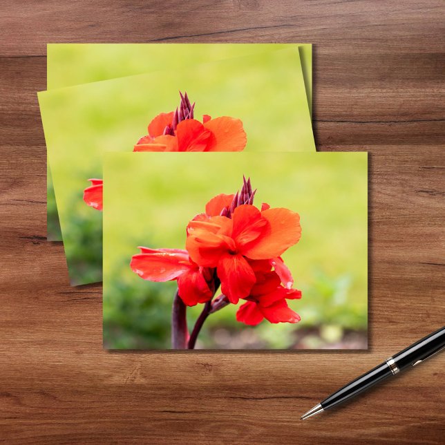 Carte Postale Rouge Lily (Créateur téléchargé)