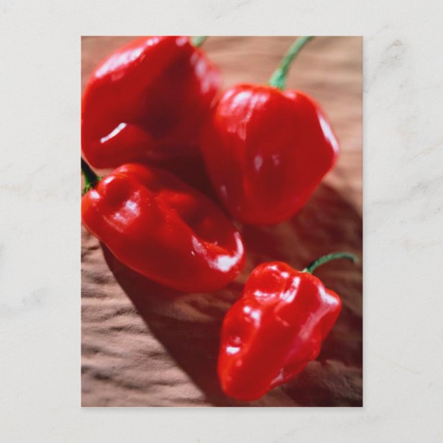CARTE POSTALE ROUGE PEPPERS CHILI (Devant)