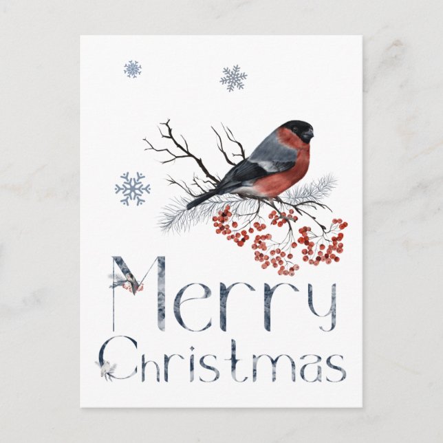 Carte Postale Rouge Robin oiseau est assis sur une branche de so (Devant)