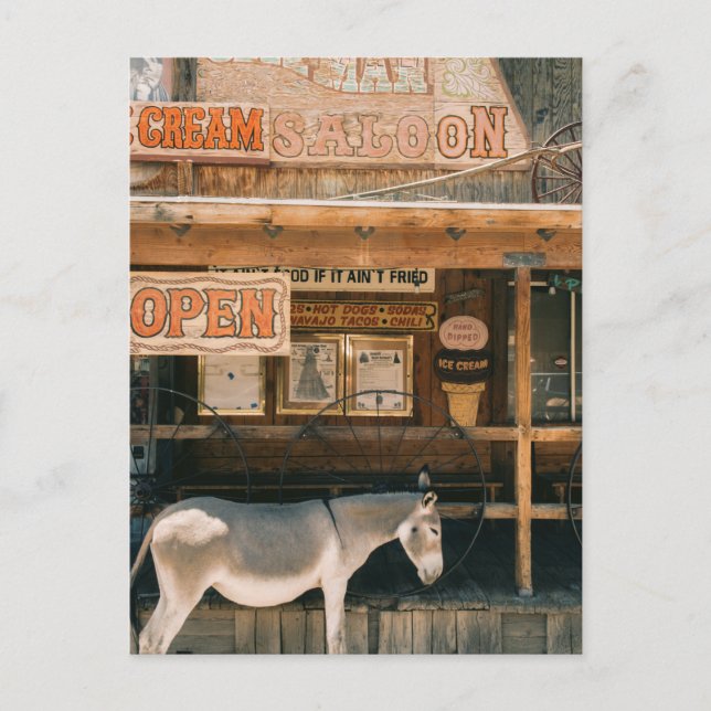 Carte Postale Route 66 Burros (Devant)
