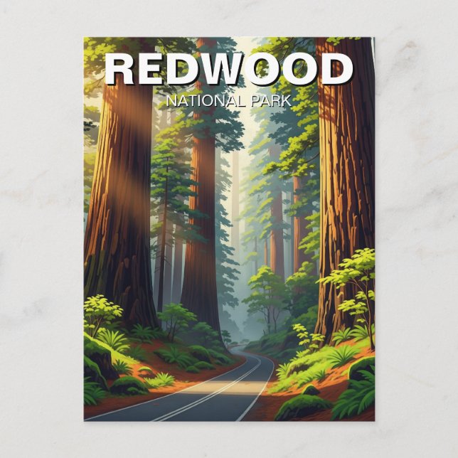 Carte Postale Route dans le parc national de Redwood (Devant)