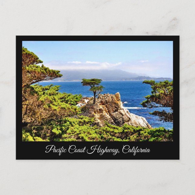 CARTE POSTALE ROUTE DE LA CÔTE PACIFIQUE CALIFORNIE POSTCARD (Devant)