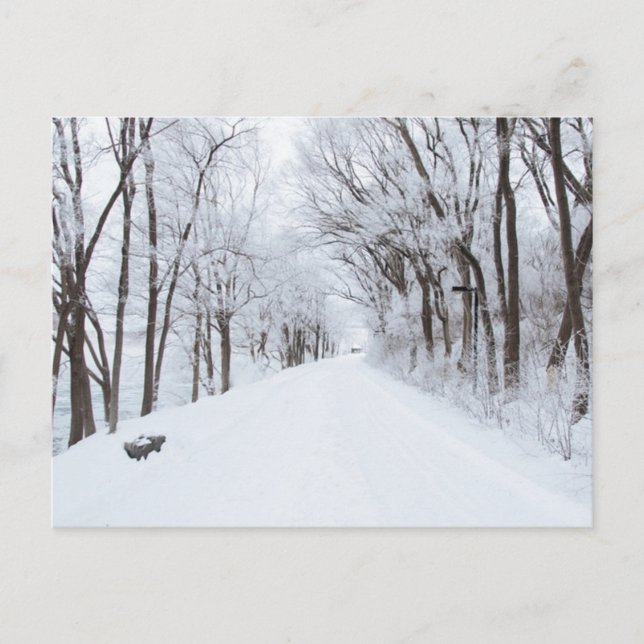 Carte postale Route d'hiver (Devant)