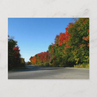 Carte Postale Route d'octobre