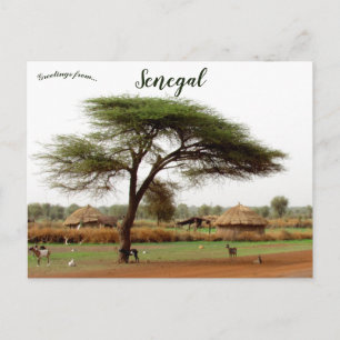 Carte Postale Route entre Ouro Sogui et Orkadiéré Sénégal