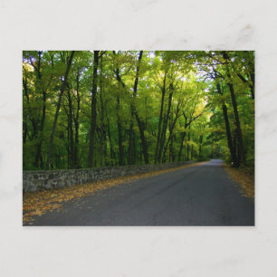 Carte Postale Route North Shore