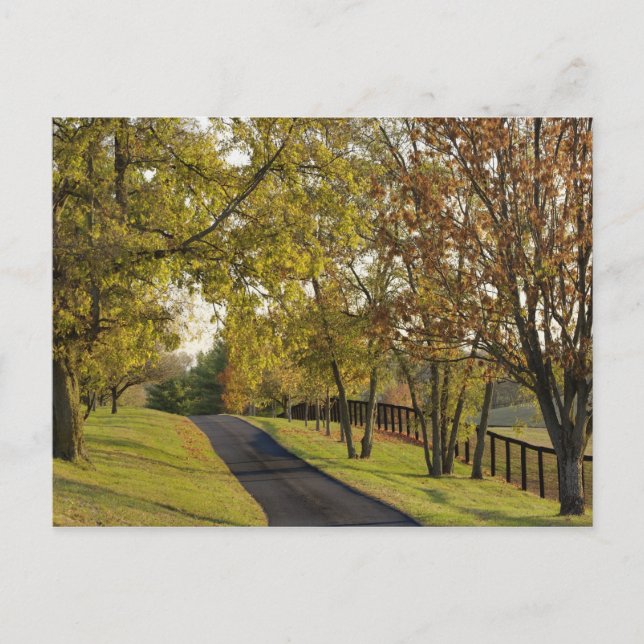 Carte Postale Route rurale à travers la région de Bluegrass au K (Devant)