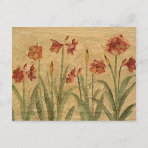 Carte Postale Row of Red Amaryllis