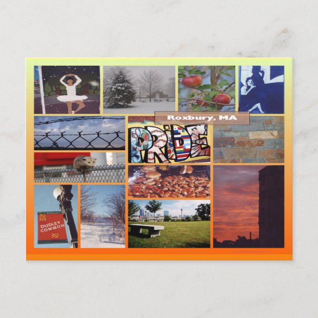 Carte Postale Roxbury, Massachusetts Photo Collage 9958 (Devant)