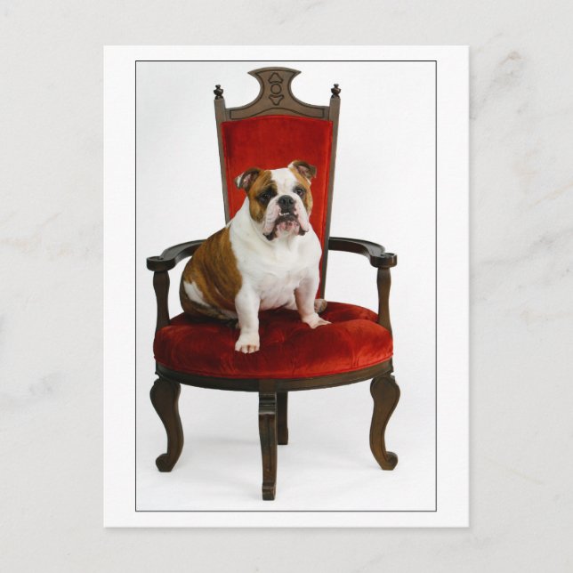 Carte Postale Royal English Bulldog (Devant)