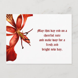 Carte postale Royal Poinciana