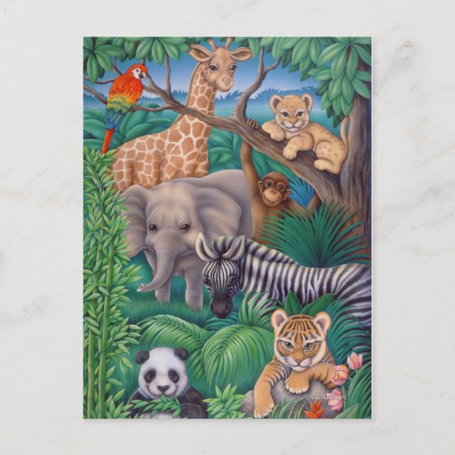 Carte Postale Royaume animal (Devant)