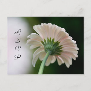 Carte postale RSVP