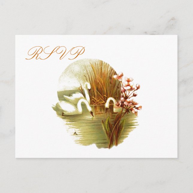 Carte postale RSVP (Devant)