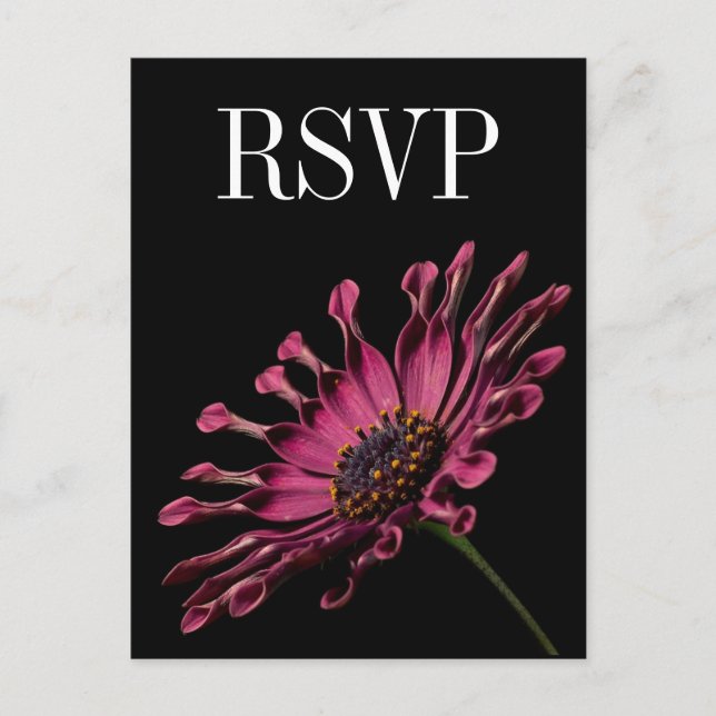 Carte postale RSVP Hot rose Fuchsia Daisy Wedding (Devant)