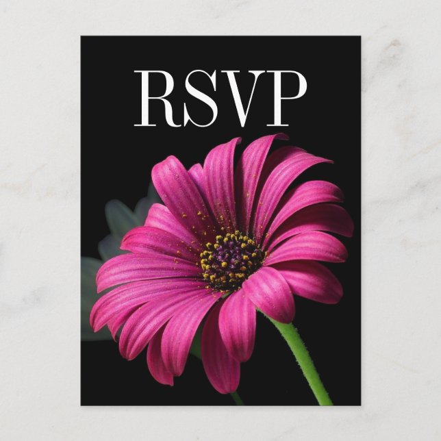 Carte postale RSVP Hot rose Gerber Daisy Wedding (Devant)