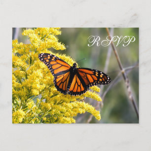 Carte postale RSVP Monarch Butterfly Wedterfly