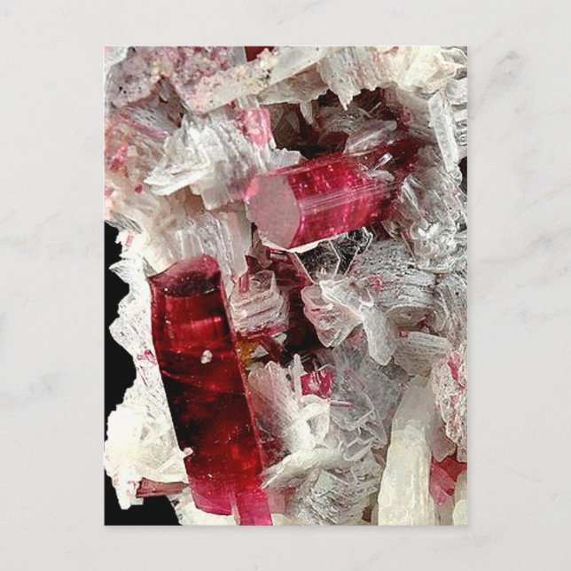 Carte Postale Rubellite (Devant)