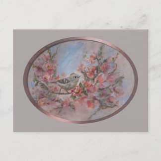 Carte Postale Ruby Crowned Kinglet