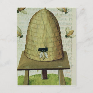 Carte Postale ruche et abeilles