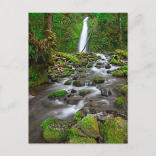 Carte Postale Ruckel Creek Falls, Gorge du Columbia, Oregon