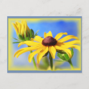 Carte Postale Rudbeckia Blues - Vignette
