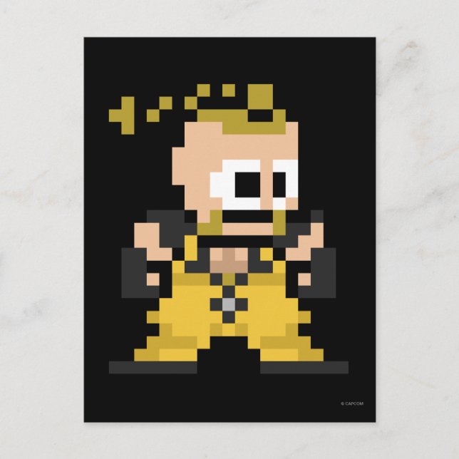 Carte Postale Rufus 8 bits (Devant)