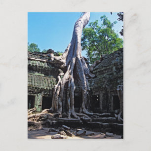 Carte Postale Ruine de Ta Prohm - Angkor Vat, Cambodge, Asie