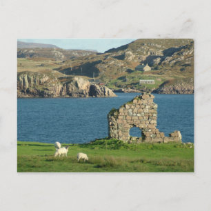 Carte Postale Ruine sur Iona