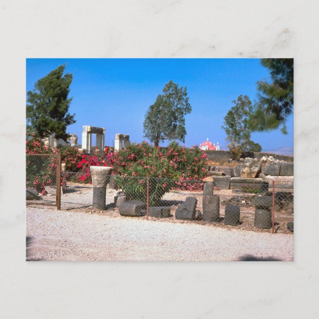Carte Postale Ruines de Capernaum, Galilée (Devant)