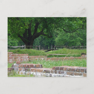 Carte Postale Ruines de Jamestown
