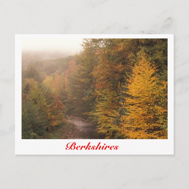 Carte Postale Ruisseau d'automne de Mill Brook, ruisseau des Ber (Devant)