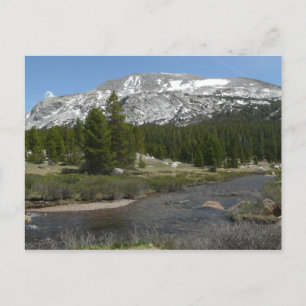 Carte Postale Ruisseau de montagne de High Country II à Yosemite