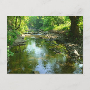 Carte Postale ruisseau près de canard creux