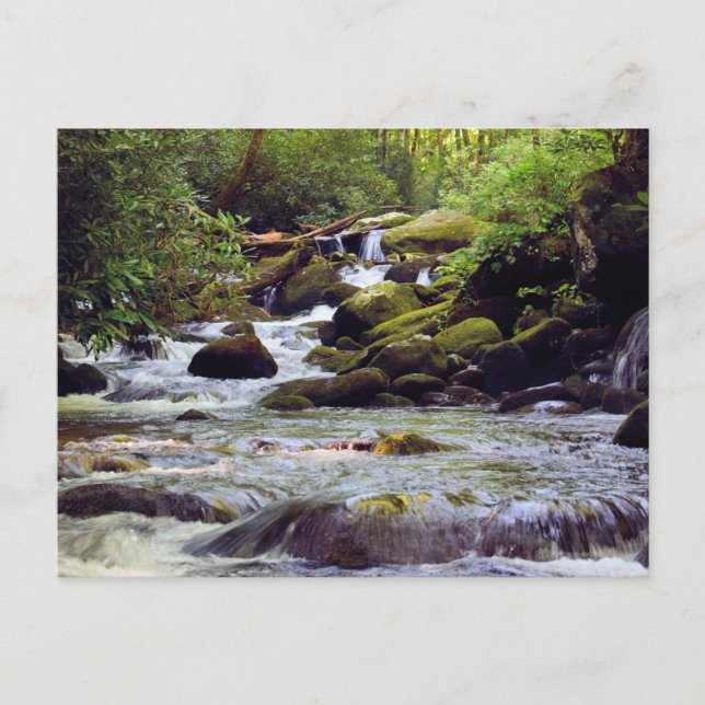Carte Postale Ruisseau Rocky - Great Smoky Mountains (Devant)