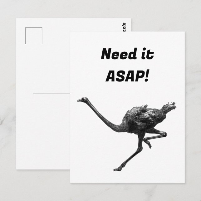 Carte Postale Running Ostrich Ink Sketch, Athlete Cool Oiseaux (Devant / Derrière)