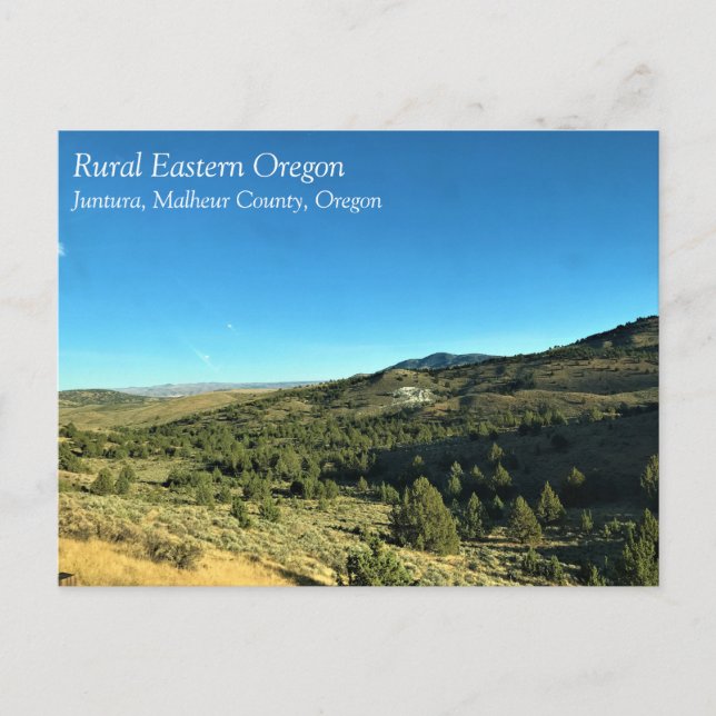 Carte Postale Rural Oregon, Juntura, Malheur County, Oregon (Devant)