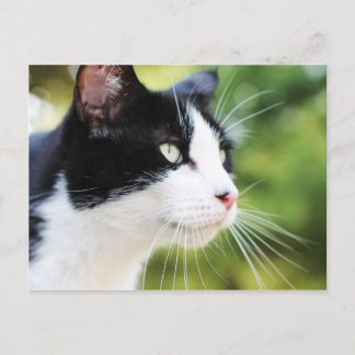 Carte Postale Russell 1